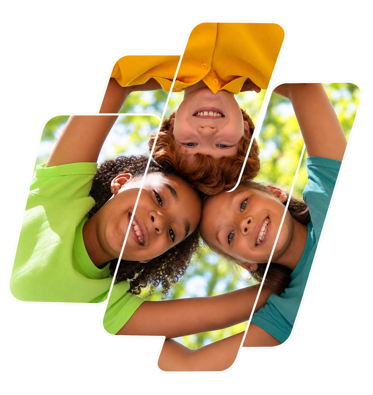 Fundación Albor Vida